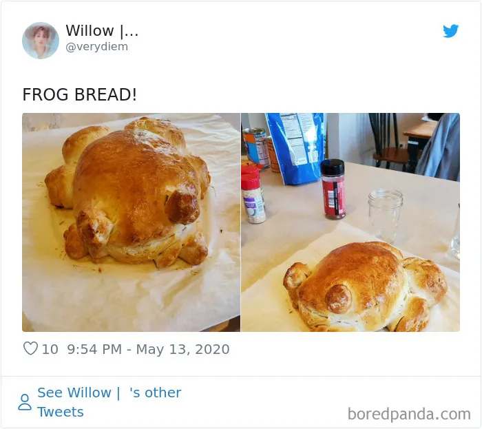 30 People Share Their Attempts At The Latest Trend - Baking Frog Bread