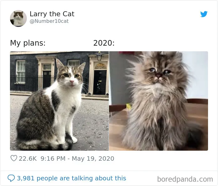 People Make Hilarious "My Plans vs. 2020" Memes And Here Are 30 Of Them