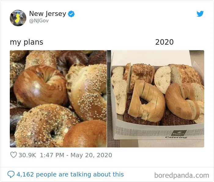 People Make Hilarious "My Plans vs. 2020" Memes And Here Are 30 Of Them