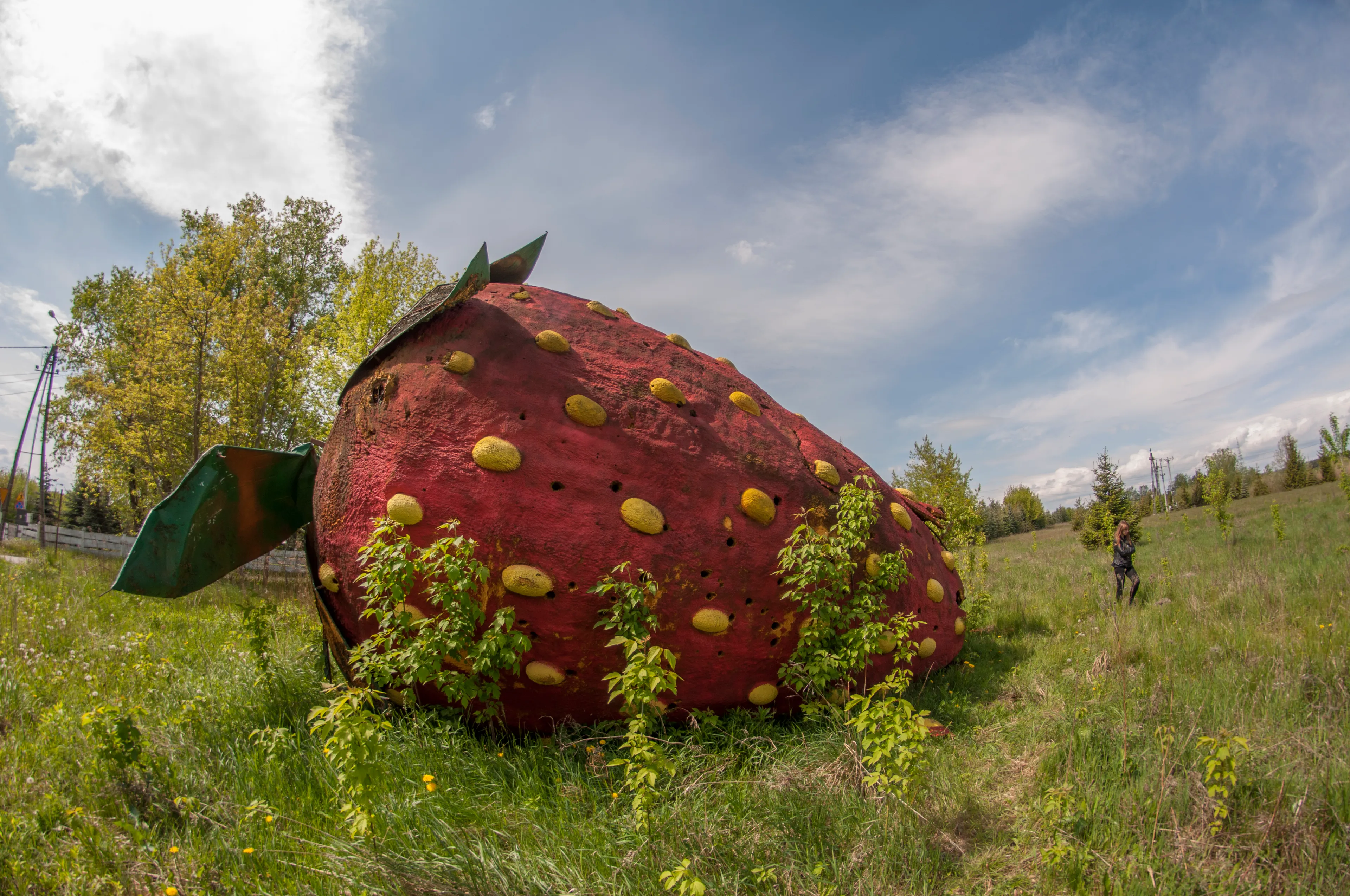 We Captured This Huge, Abandoned Strawberry Twice - In The Springtime And In The Wintertime. The Difference Is Significant! (10 Pictures)