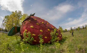 We Captured This Huge, Abandoned Strawberry Twice - In The Springtime And In The Wintertime. The Difference Is Significant! (10 Pictures)