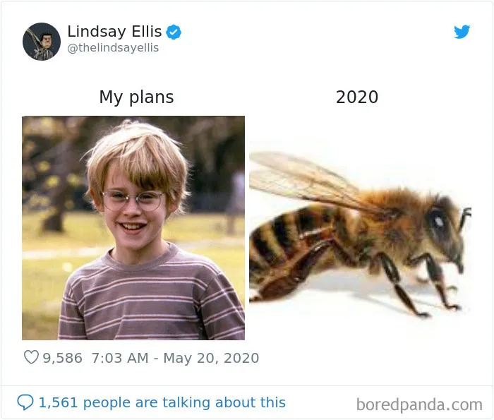 People Make Hilarious "My Plans vs. 2020" Memes And Here Are 30 Of Them