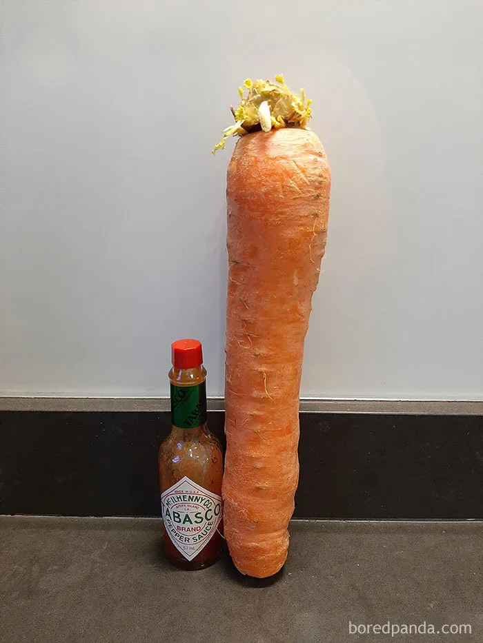 35 Times People Ordered Groceries During Quarantine And Got More Than They Bargained For