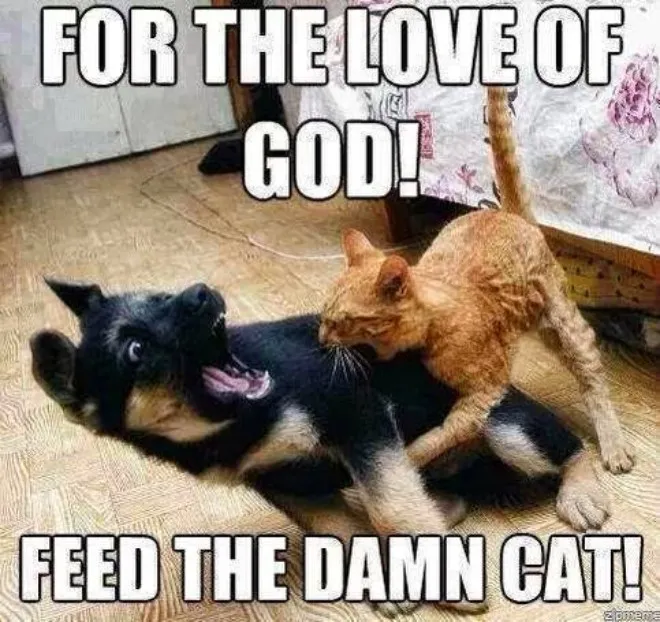 Hunger Gets The Best Of Us.
