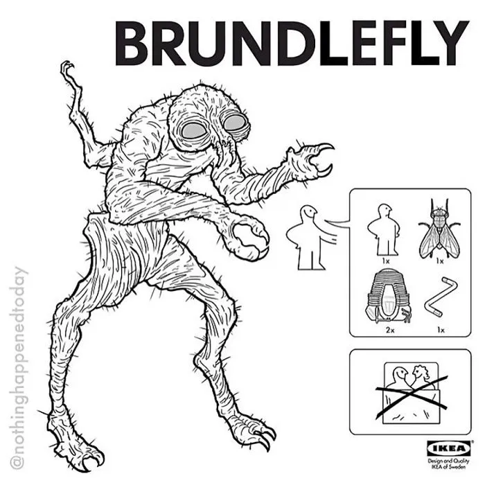 Brundlefly