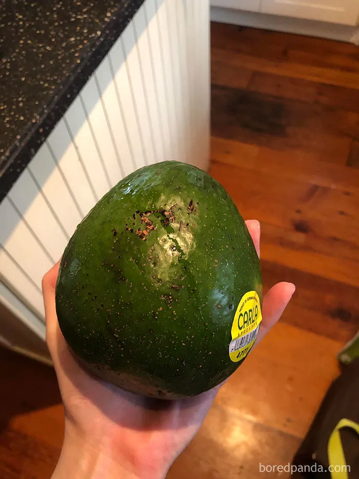 35 Times People Ordered Groceries During Quarantine And Got More Than They Bargained For