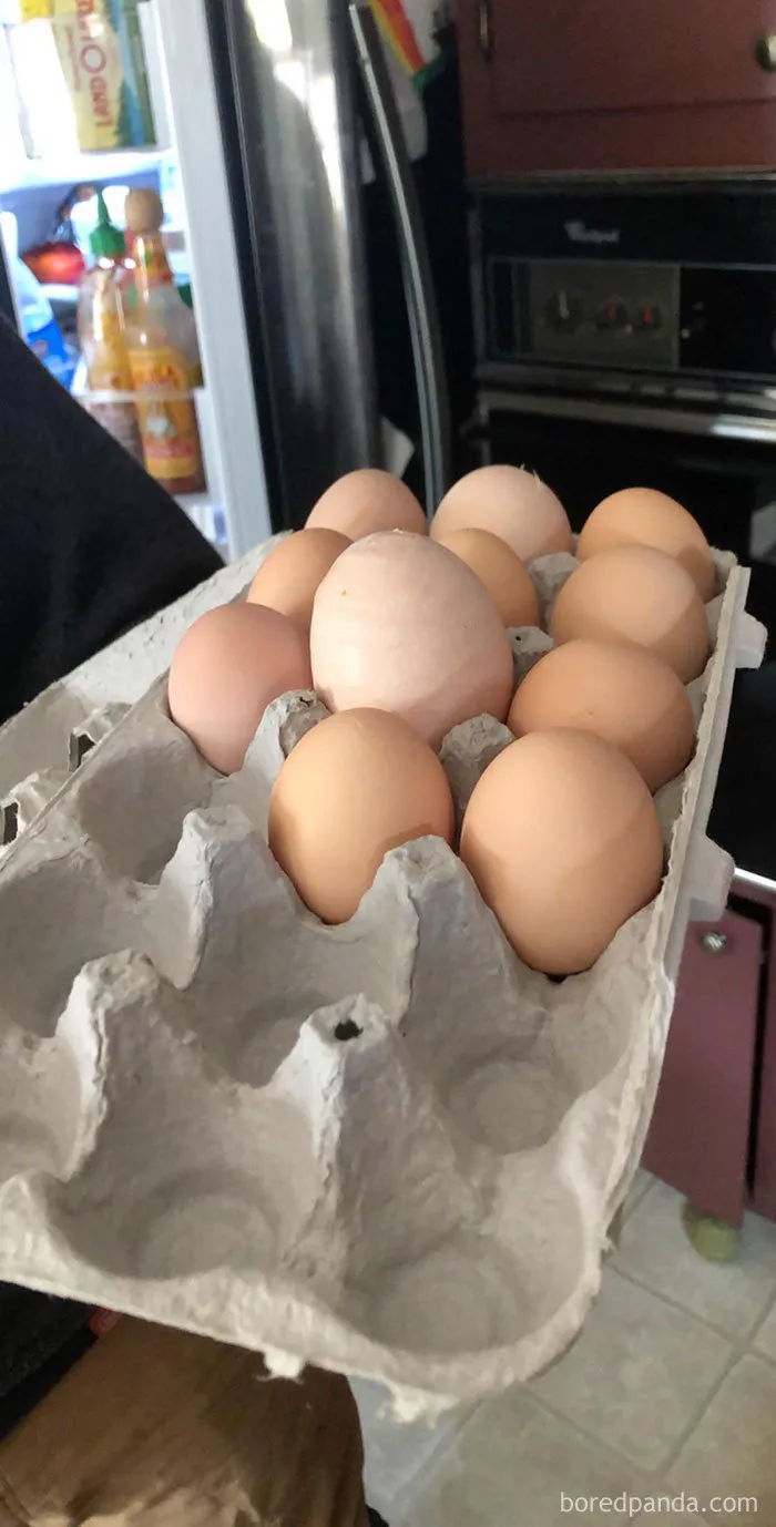 35 Times People Ordered Groceries During Quarantine And Got More Than They Bargained For