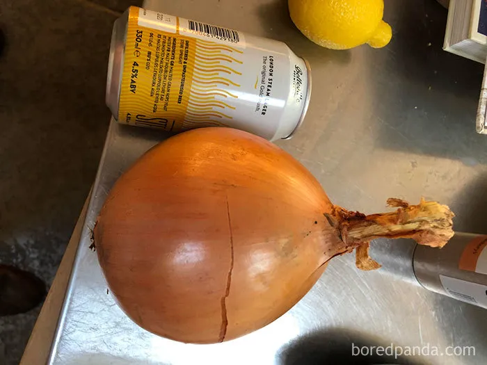 35 Times People Ordered Groceries During Quarantine And Got More Than They Bargained For