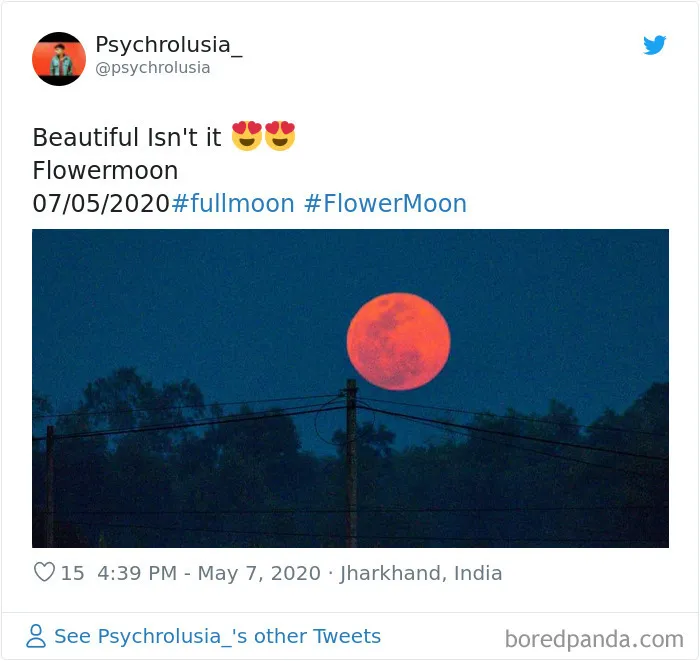 27 People Took Stunning Photos Of The Last Supermoon Of 2020