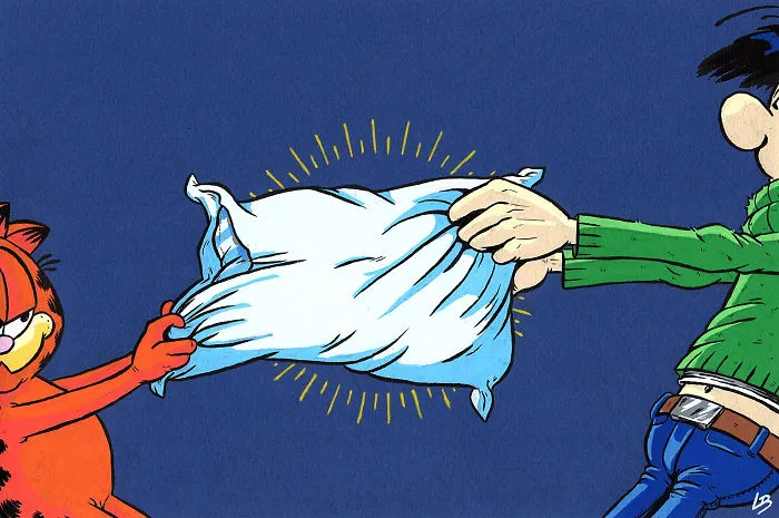 A Pillow For Garfield And Gaston
