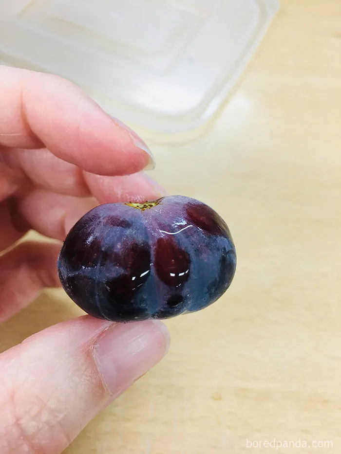 35 Times People Ordered Groceries During Quarantine And Got More Than They Bargained For