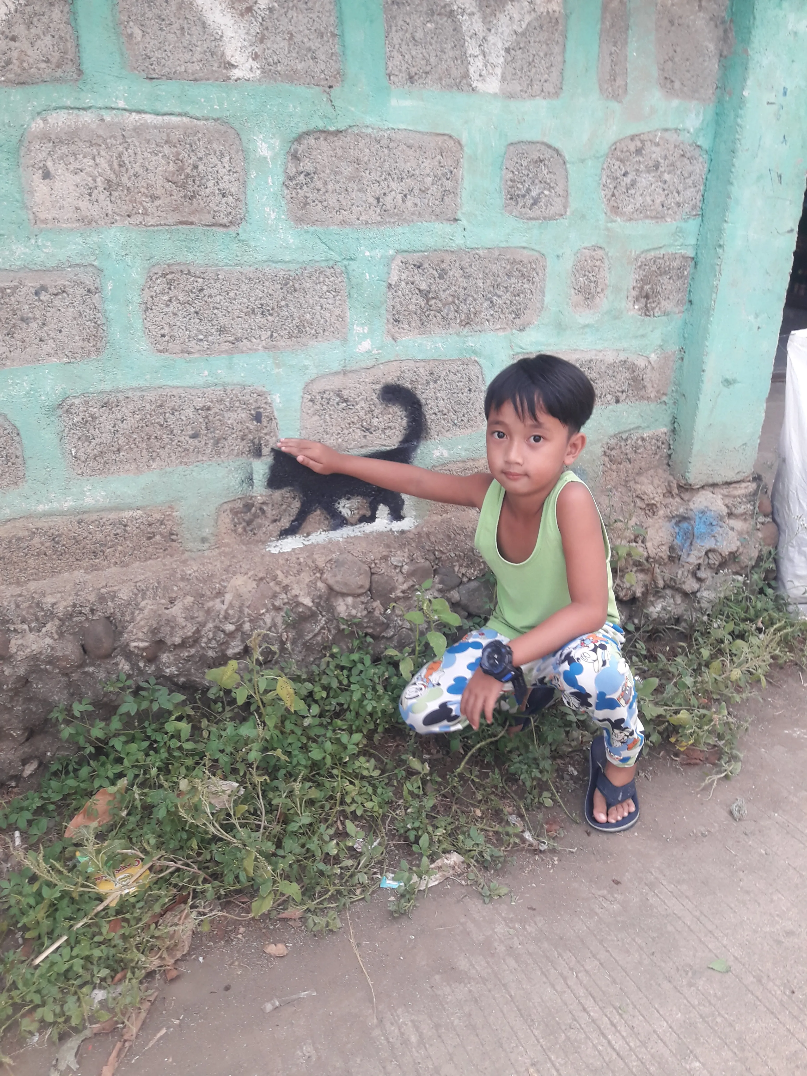 The Cat Passing By