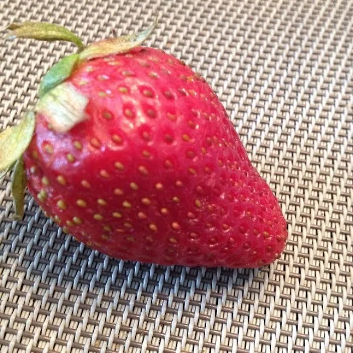 Parents Post The Ridiculous Reasons Their Kids Refuse To Eat Their Food (40 Pics)