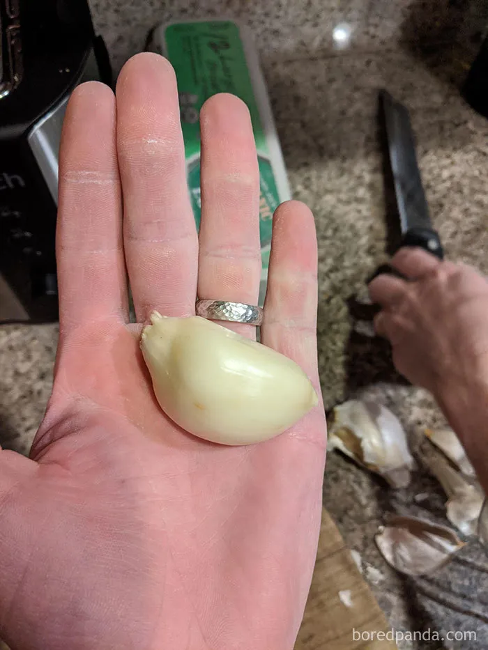 35 Times People Ordered Groceries During Quarantine And Got More Than They Bargained For