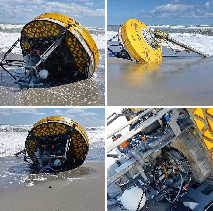 Lo trajo la marea a una playa de Florida, ¿qué es?