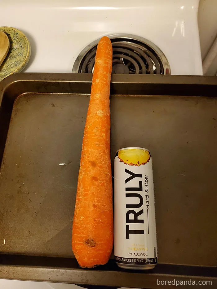 35 Times People Ordered Groceries During Quarantine And Got More Than They Bargained For