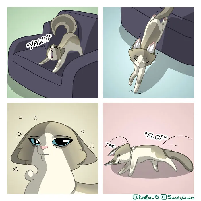 Nap