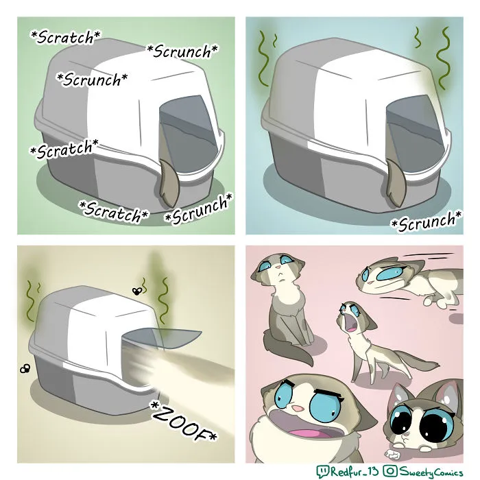 Litterbox