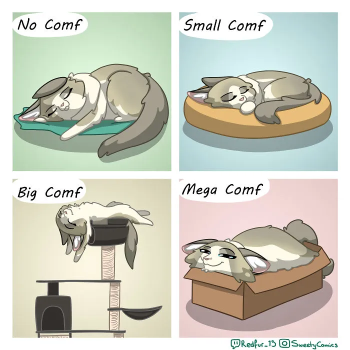Comfiness Scale