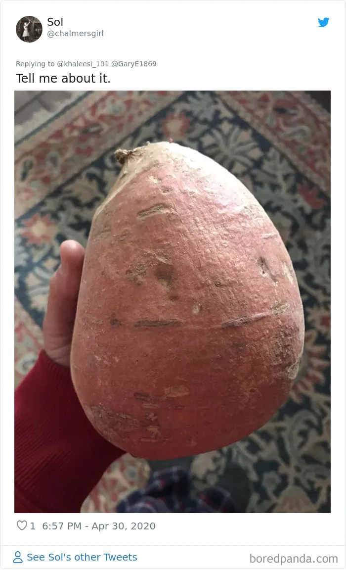 35 Times People Ordered Groceries During Quarantine And Got More Than They Bargained For