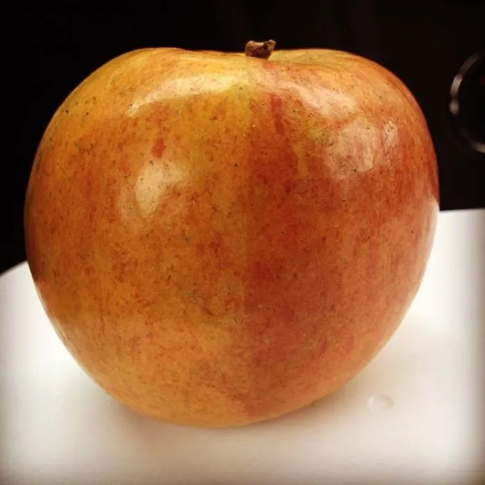 Parents Post The Ridiculous Reasons Their Kids Refuse To Eat Their Food (40 Pics)