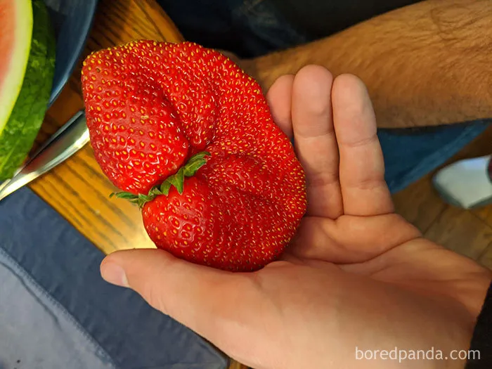 35 Times People Ordered Groceries During Quarantine And Got More Than They Bargained For