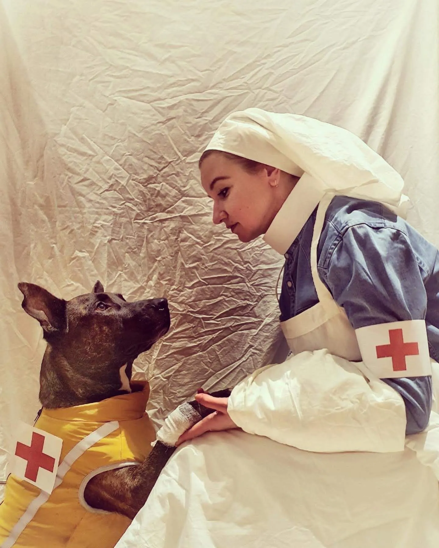 Veterinarian