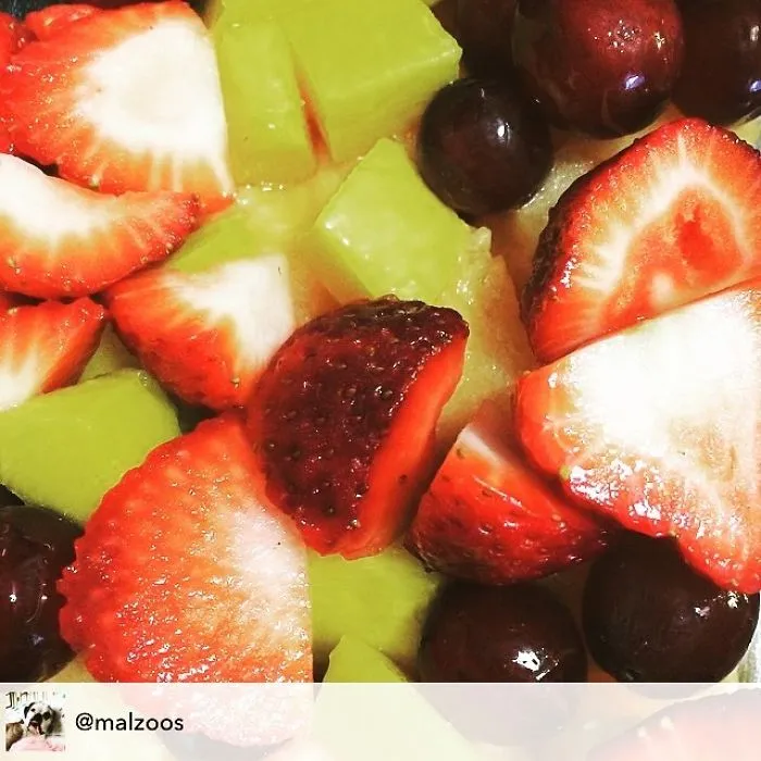 Parents Post The Ridiculous Reasons Their Kids Refuse To Eat Their Food (40 Pics)