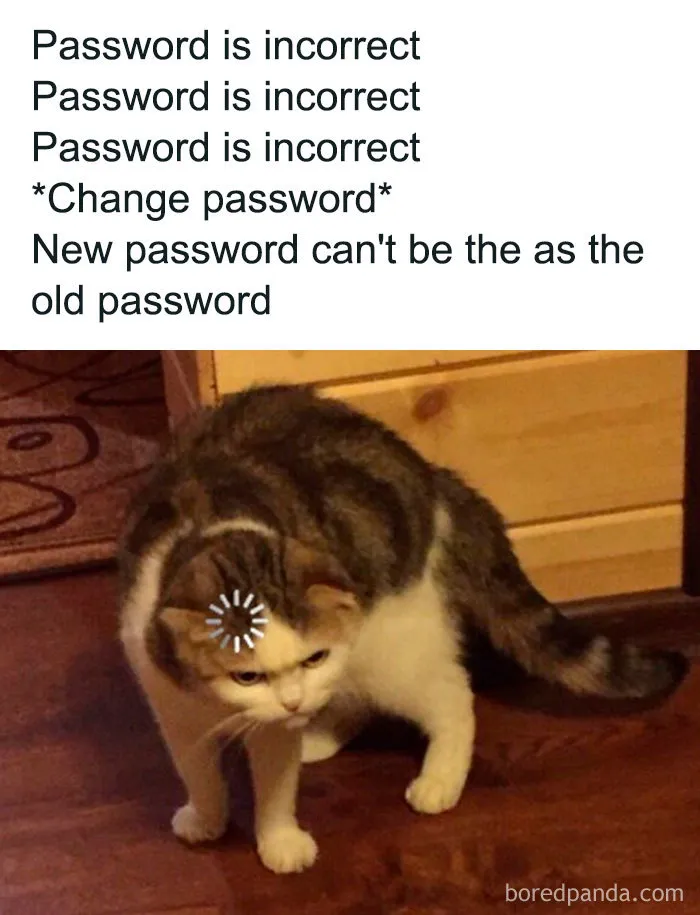 Passwords