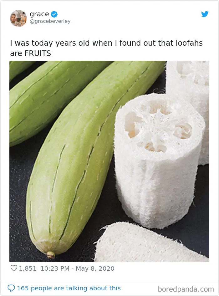 Today-Years-Old-People-Share-Facts