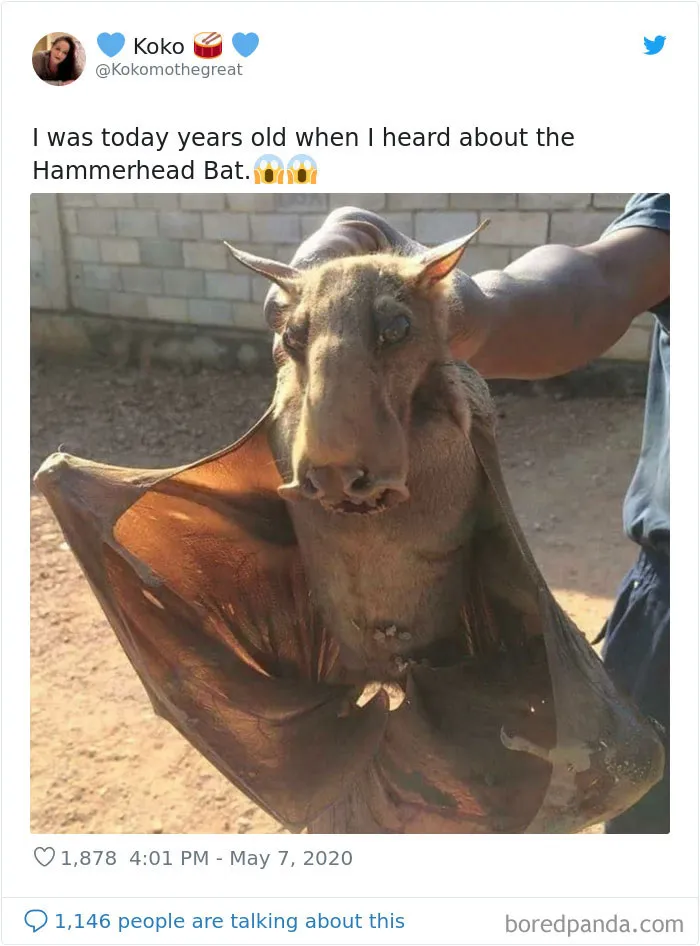 28 People Who Were 'Today Years Old' When They Realized These Random Things