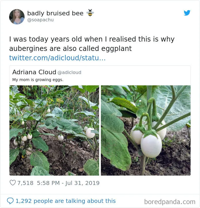 28 People Who Were 'Today Years Old' When They Realized These Random Things