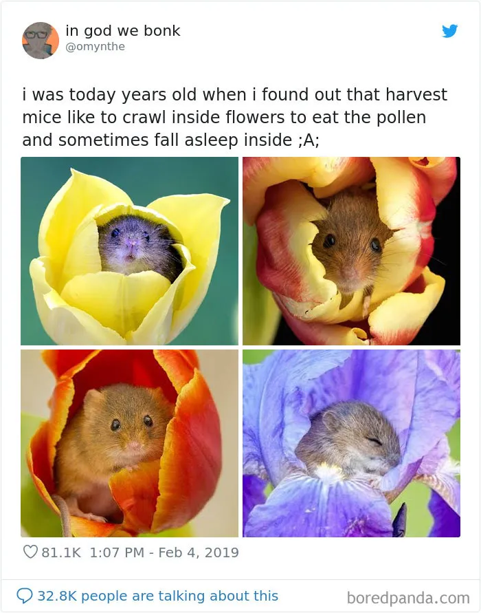 28 People Who Were 'Today Years Old' When They Realized These Random Things