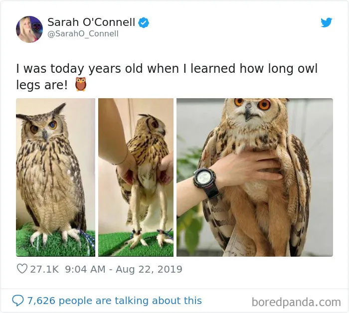 28 People Who Were 'Today Years Old' When They Realized These Random Things