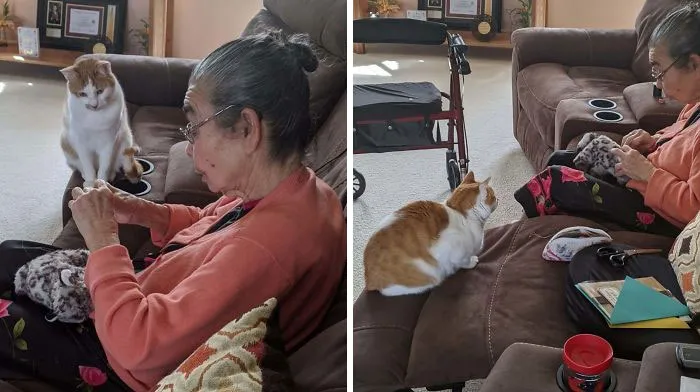Se ha roto su juguete favorito y la abuela se lo está cosiendo