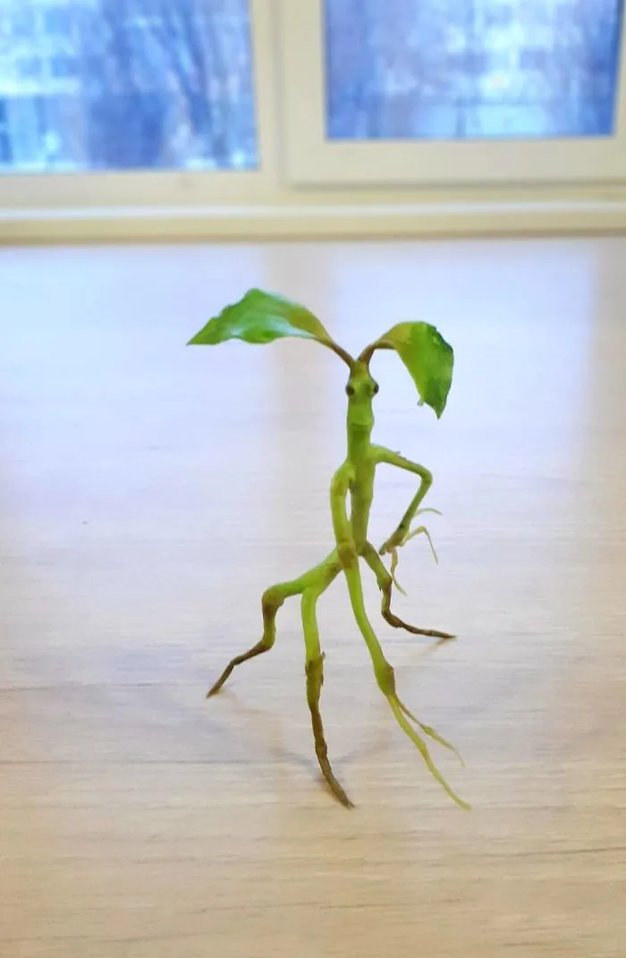 Russian Mother Of Three Creates Realistic Miniature Sculptures (36 Pics)