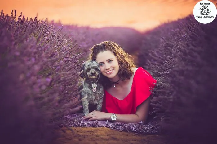 Every January, I Go To Blooming Lavender Fields In Tasmania To Take These Dreamy Photos Of Pets (100 Pics)