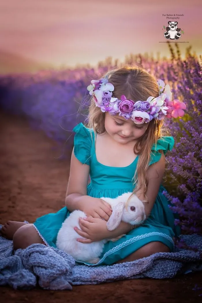 Every January, I Go To Blooming Lavender Fields In Tasmania To Take These Dreamy Photos Of Pets (100 Pics)