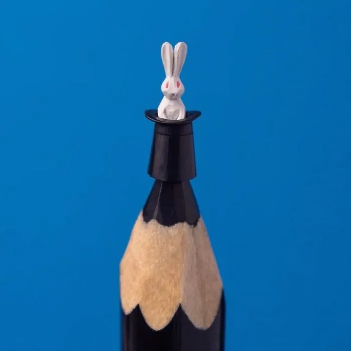 Rabbit