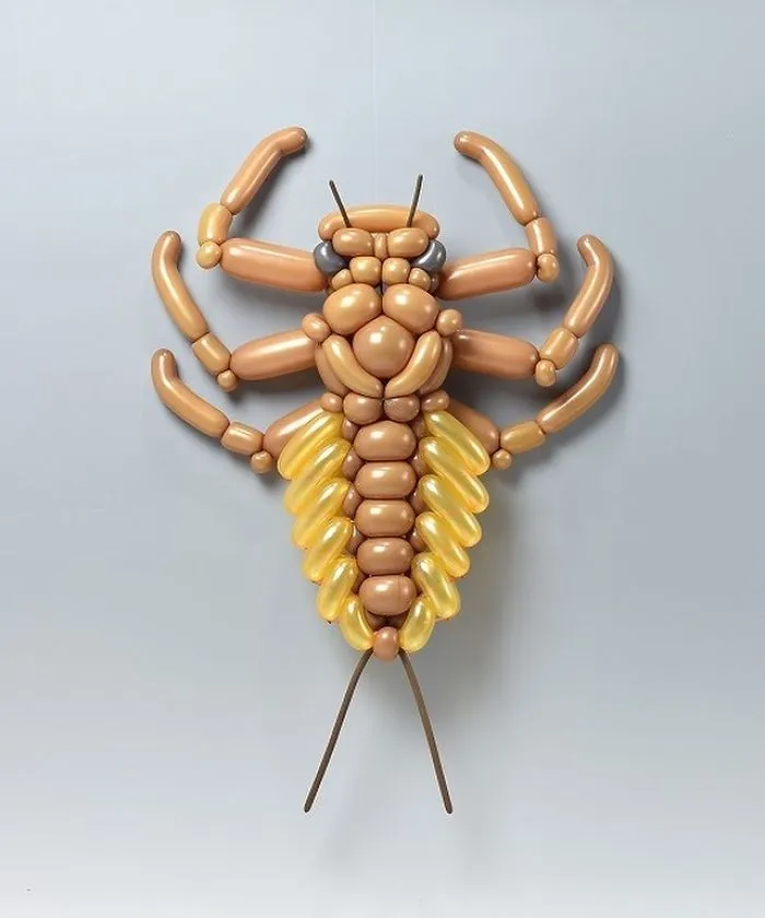 Mayfly Nymph