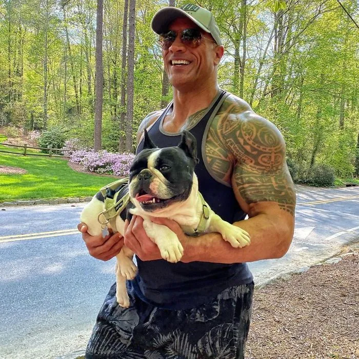 The Time He Carried His Dog Hobbs Back Home When He Was Too Tired To Walk After Going A Mile Down The Road