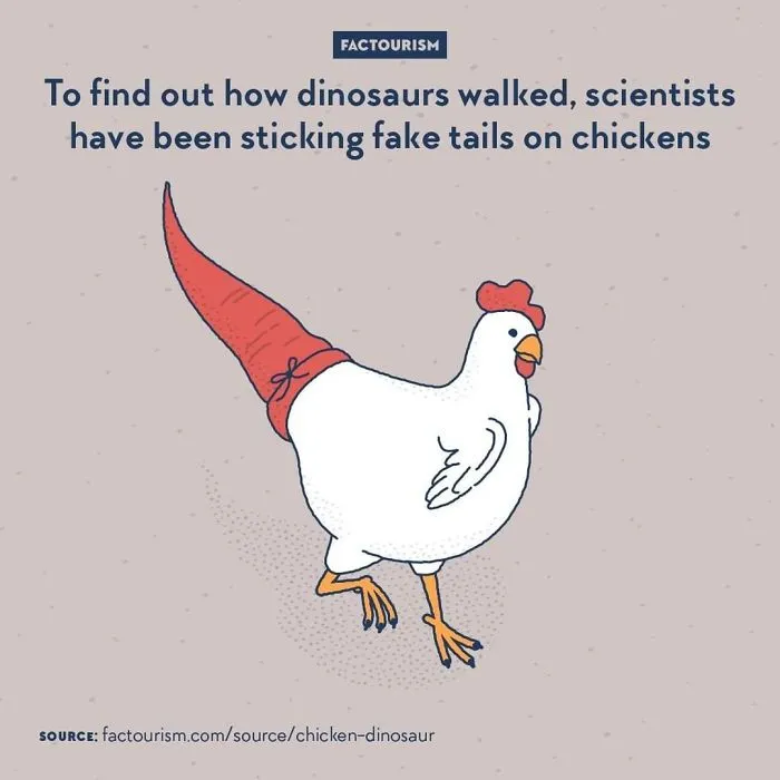 Tiny Dinosaurs