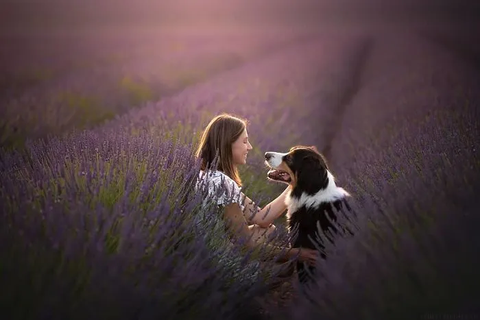 I Combined My Two Favorite Things, Dogs And Nature, To Create These Magical Photos (49 Pics)