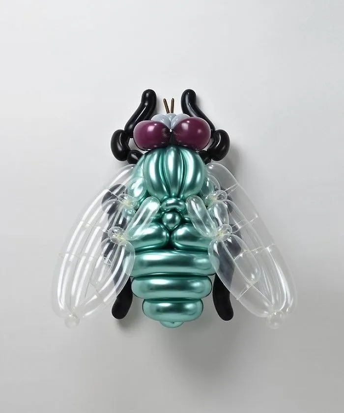 Green Bottle Fly