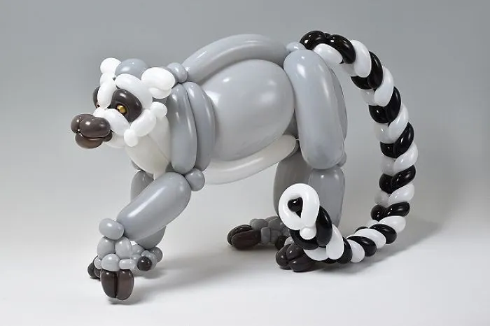 Ring-Tailed Lemur