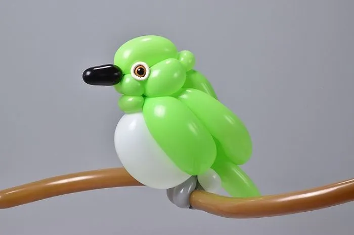 Japanese White-Eye