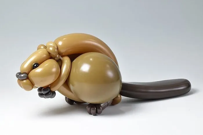 Beaver