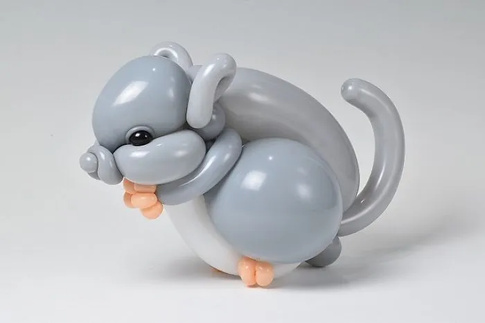 Chinchilla