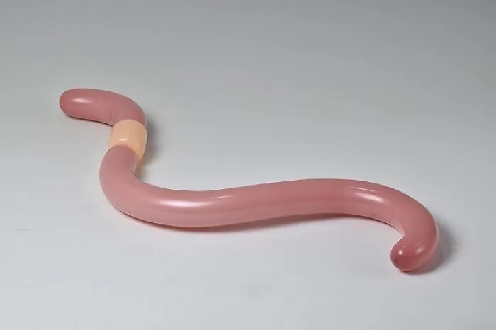 Earthworm