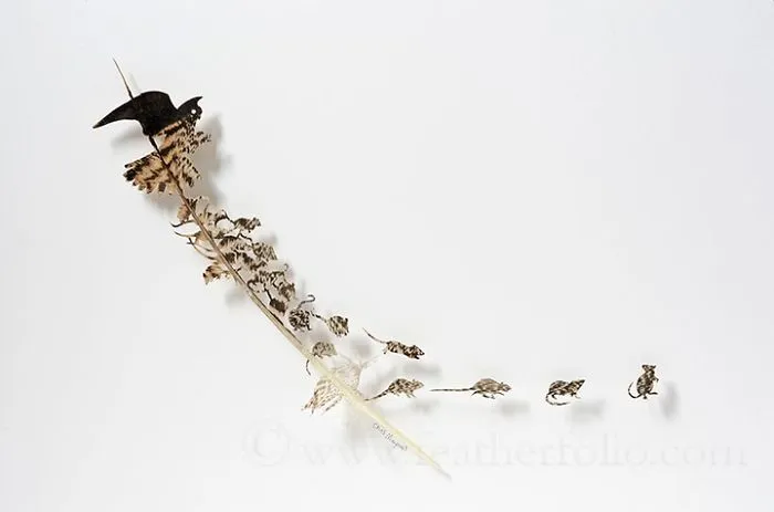 I Hand-Carve Feathers Into Intricate Designs Using Scalpels And Eye Surgery Scissors (30 New Pics)